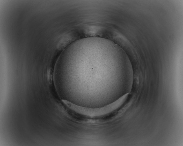 X0000088180420200705221646
