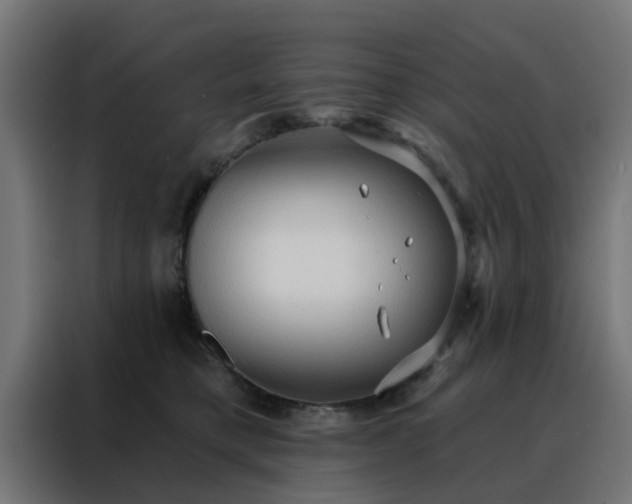 X0000088180421200705221646