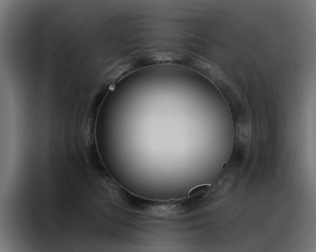 X0000088180422200705221646