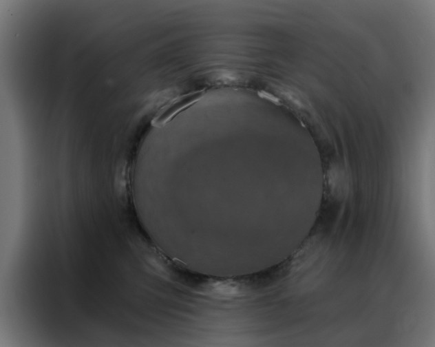 X0000088180423200705221646