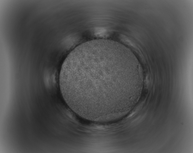 X0000088180424200705221646