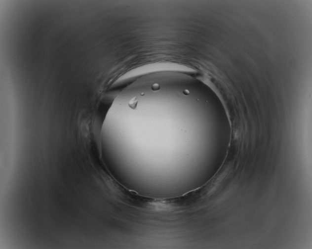 X0000088180425200705221646