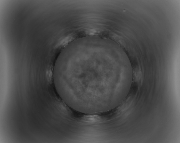 X0000088180427200705221646
