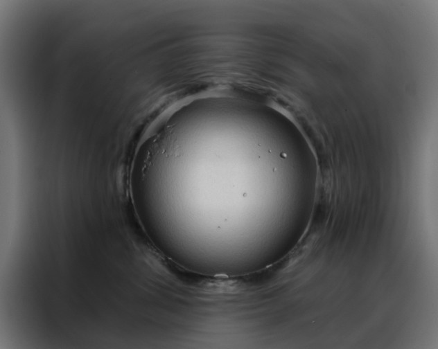 X0000088180428200705221646