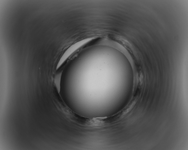 X0000088180429200705221646