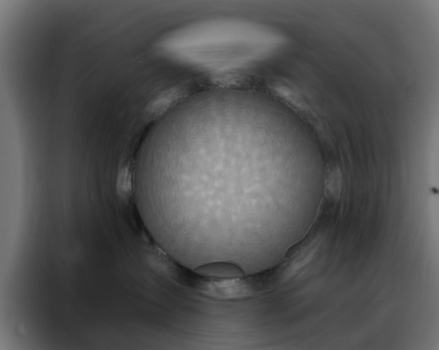 X0000088180431200705221646