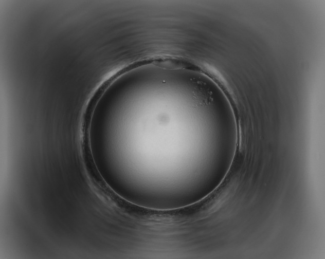 X0000088180435200705221645