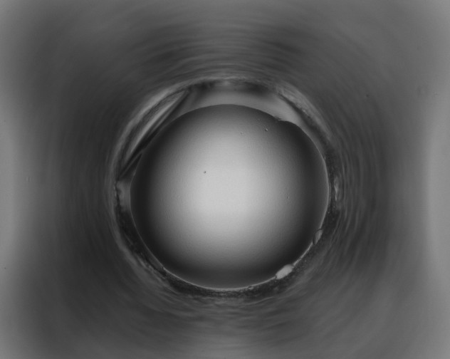 X0000088180436200705221645