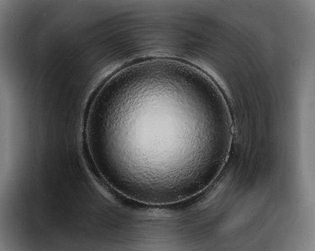 X0000088180437200705221645