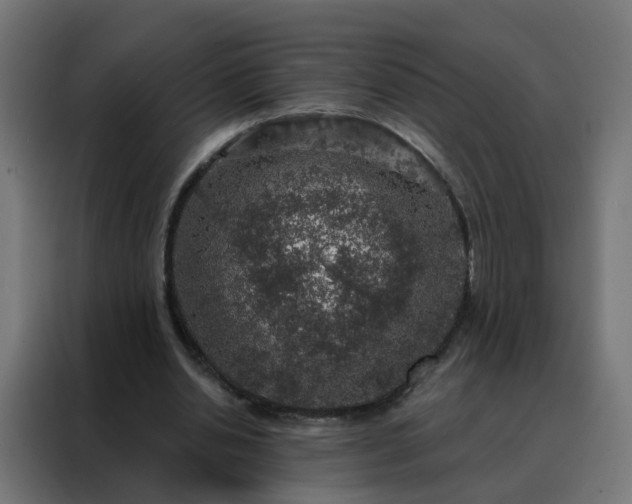 X0000088180438200705221645