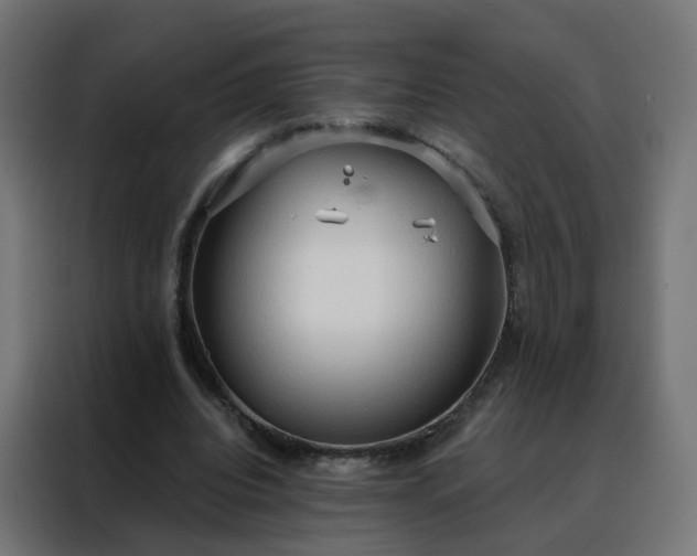 X0000088180440200705221645