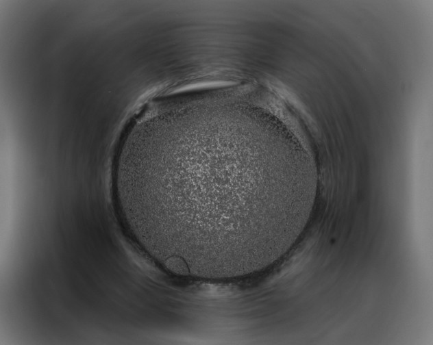 X0000088180442200705221645