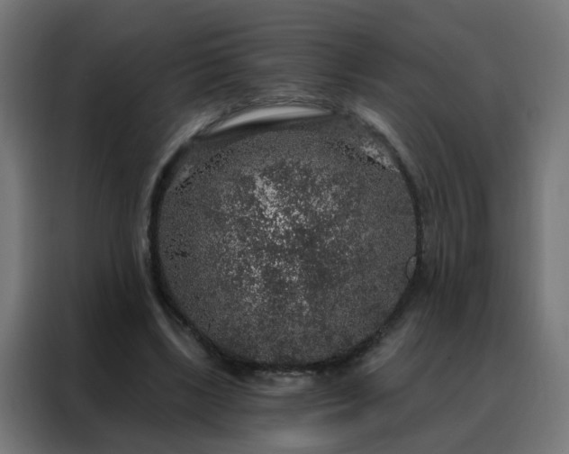 X0000088180443200705221645
