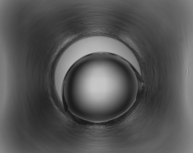 X0000088180444200705221645