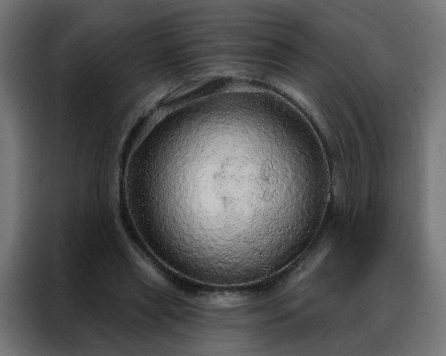 X0000088180445200705221645