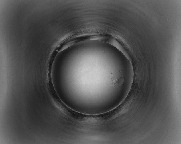 X0000088180446200705221645