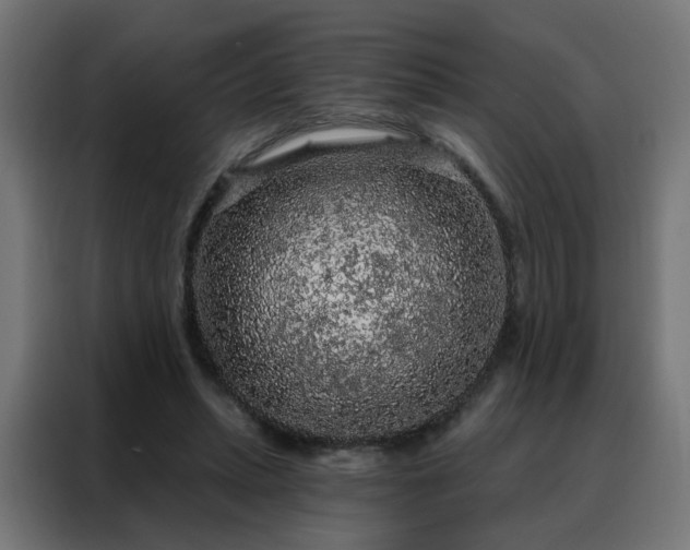 X0000088180447200705221645