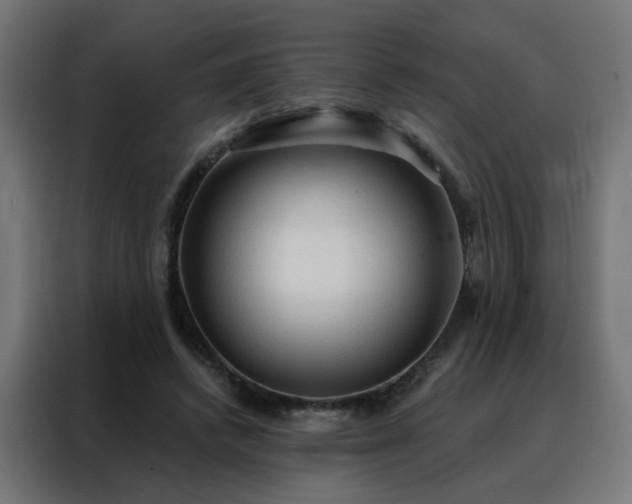 X0000088180448200705221645