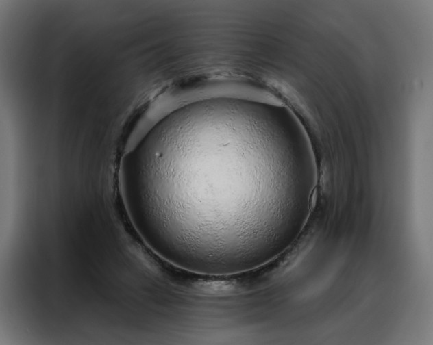 X0000088180449200705221645
