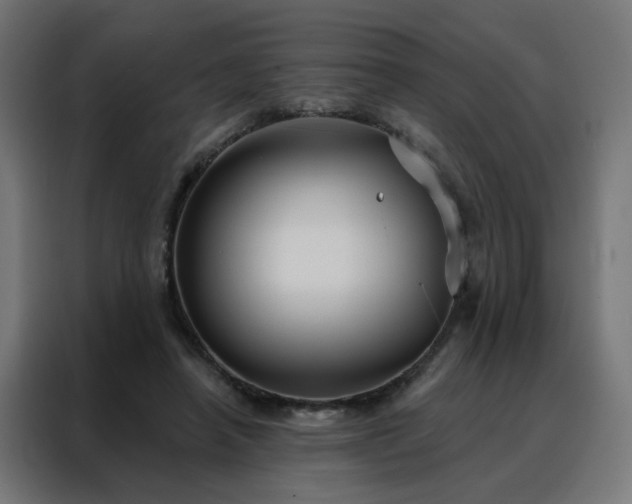 X0000088180450200705221645