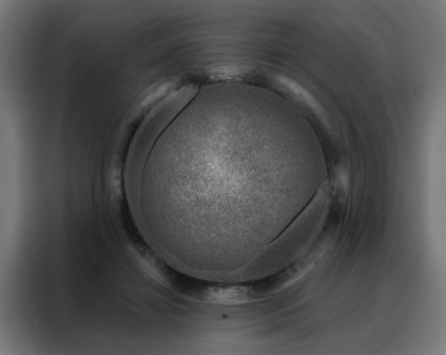 X0000088180452200705221645