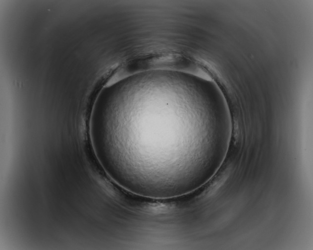 X0000088180453200705221645