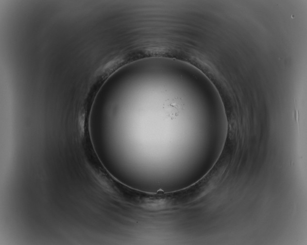 X0000088180454200705221645