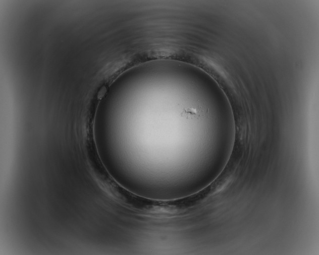 X0000088180455200705221645