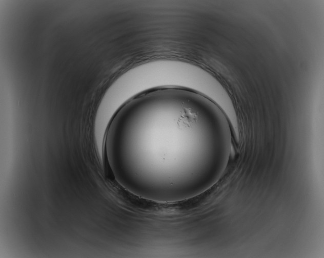 X0000088180456200705221645