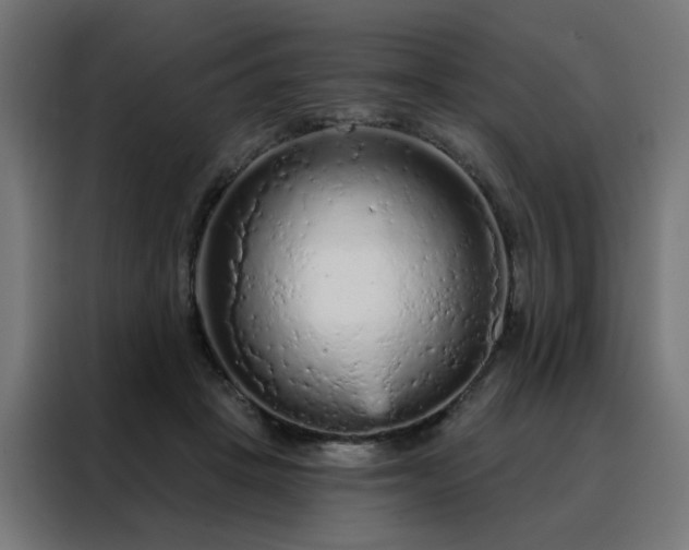 X0000088180457200705221646