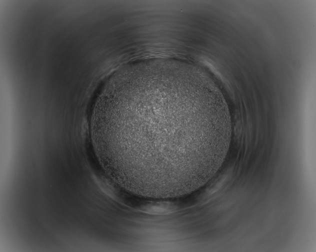 X0000088180459200705221646