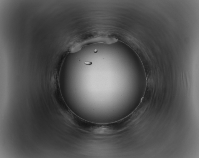 X0000088180460200705221646