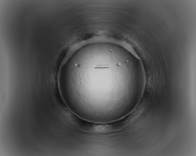 X0000088180461200705221646