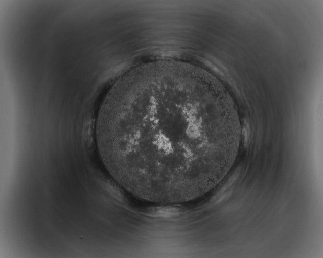 X0000088180462200705221646