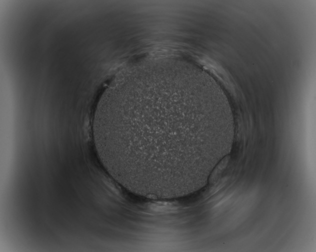 X0000088180465200705221646