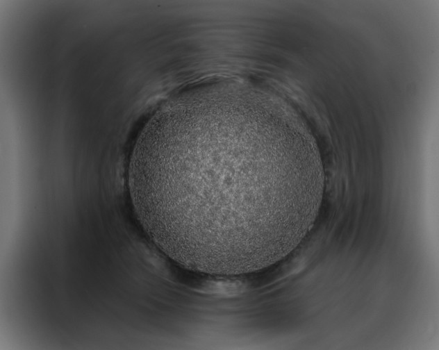 X0000088180466200705221646