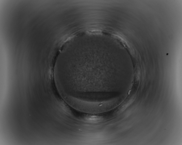 X0000088180467200705221646
