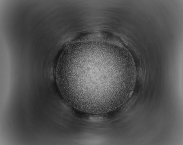 X0000088180470200705221646