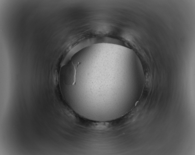X0000088180474200705221646