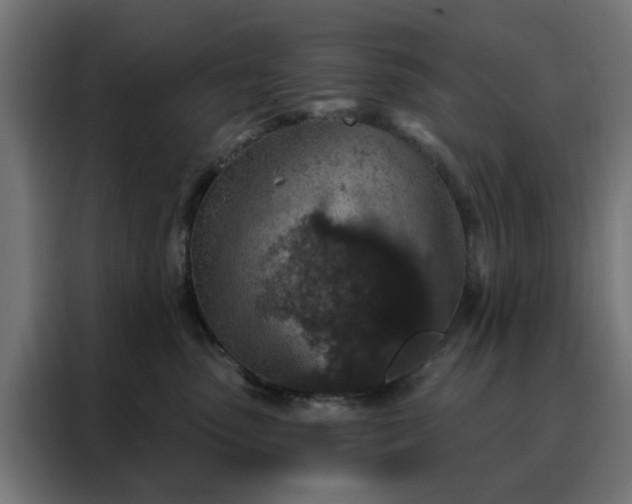 X0000088180475200705221646
