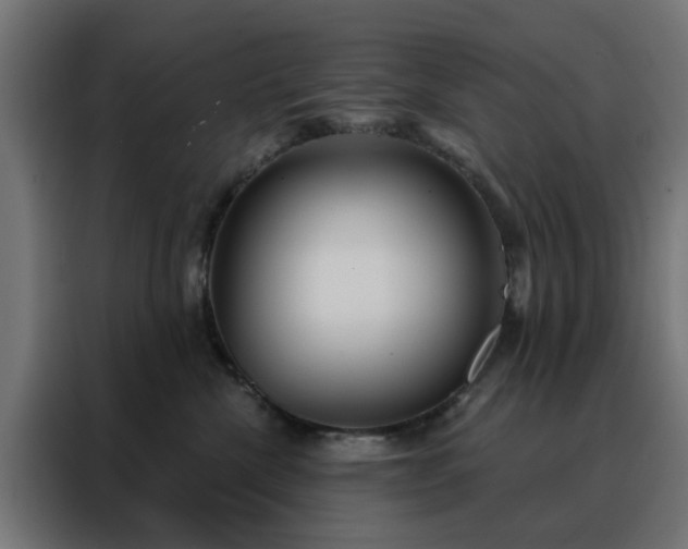 X0000088180476200705221646