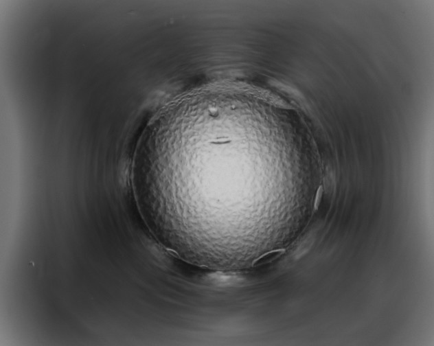 X0000088180477200705221646