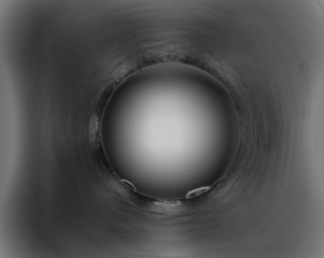 X0000088180480200705221646