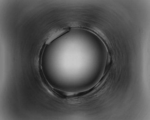 X0000088180485200705221645