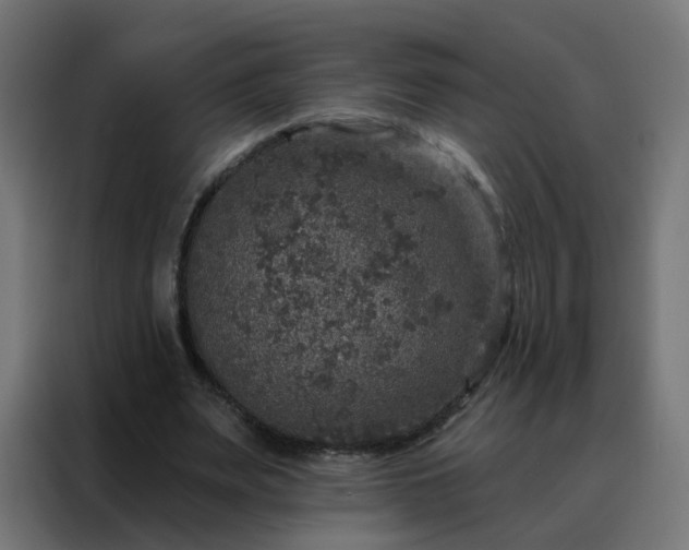 X0000088180487200705221645