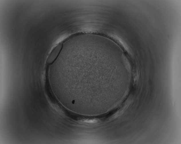 X0000088180488200705221645