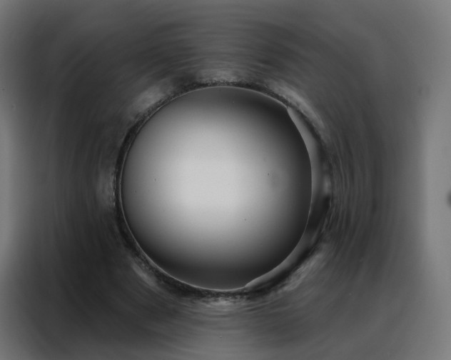 X0000088180489200705221645
