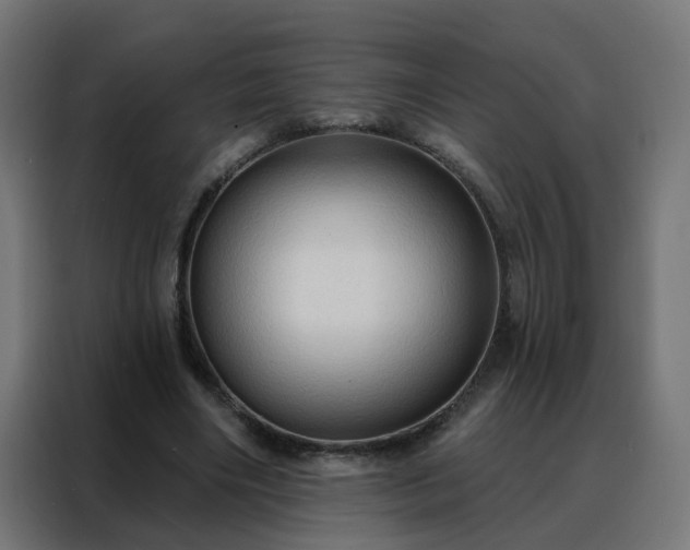 X0000088180490200705221645