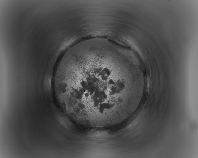X0000088180491200705221645