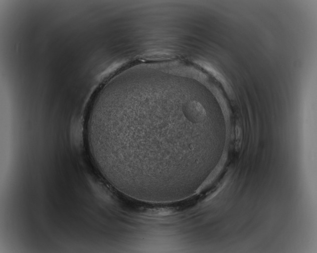 X0000088180492200705221645